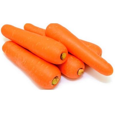 Carrot, Fresh