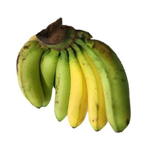 Banana, Fresh