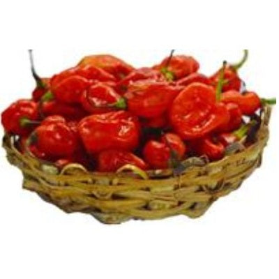 Fresh Pepper 50kg