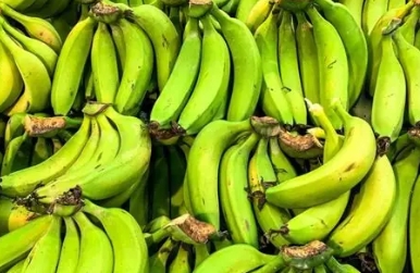 Halfripe Plantain