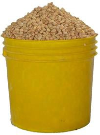 Beans Oloyin