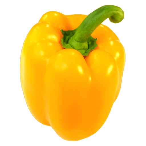 Bell Pepper Yellow, Fresh